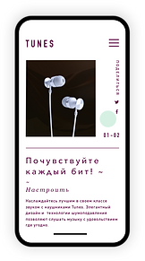 Интернет-магазин высококачественных наушников для мобильных устройств.